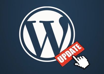 Wordpress Update