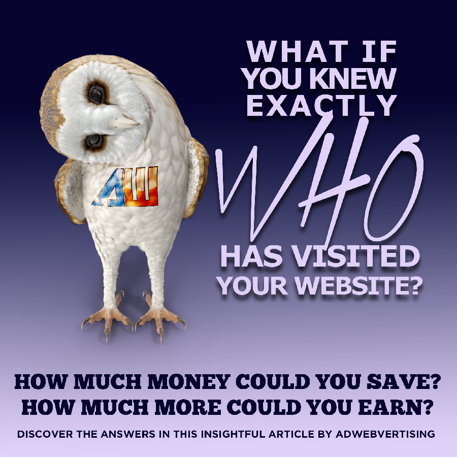 Adwebvertising-Discover Exactly WHO has been on your website.